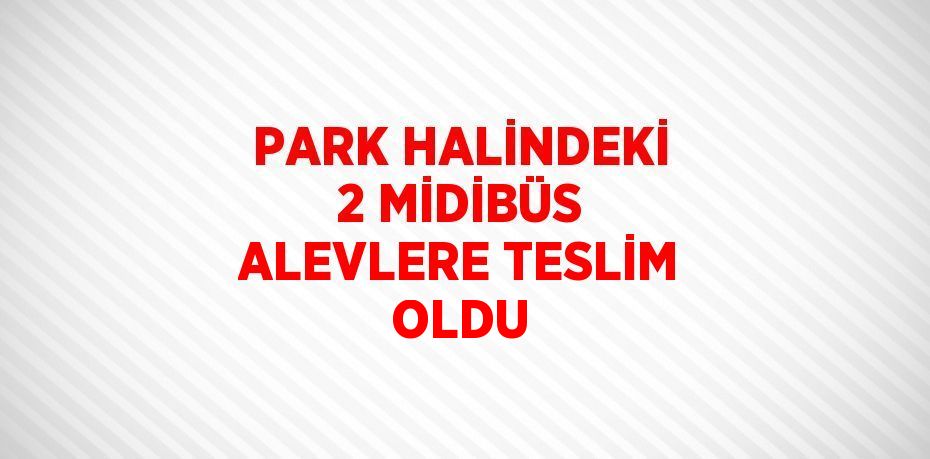 PARK HALİNDEKİ 2 MİDİBÜS ALEVLERE TESLİM OLDU