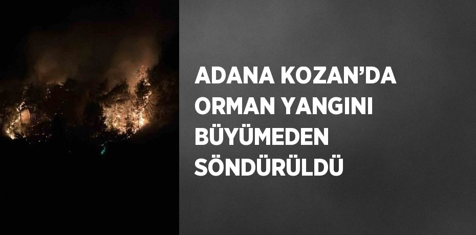 ADANA KOZAN’DA ORMAN YANGINI BÜYÜMEDEN SÖNDÜRÜLDÜ