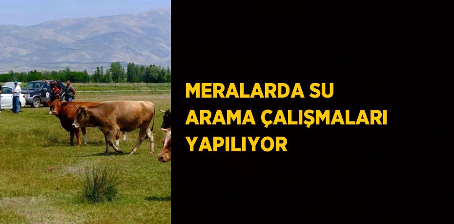 MERALARDA SU ARAMA ÇALIŞMALARI YAPILIYOR
