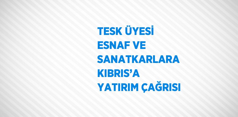 TESK ÜYESİ ESNAF VE SANATKARLARA KIBRIS’A YATIRIM ÇAĞRISI