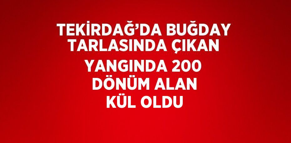 TEKİRDAĞ’DA BUĞDAY TARLASINDA ÇIKAN YANGINDA 200 DÖNÜM ALAN KÜL OLDU