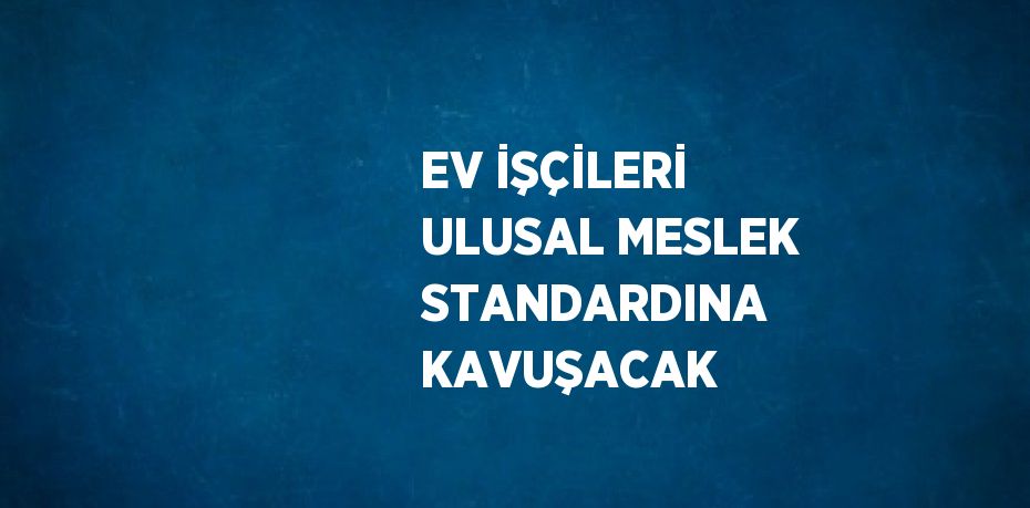 EV İŞÇİLERİ ULUSAL MESLEK STANDARDINA KAVUŞACAK
