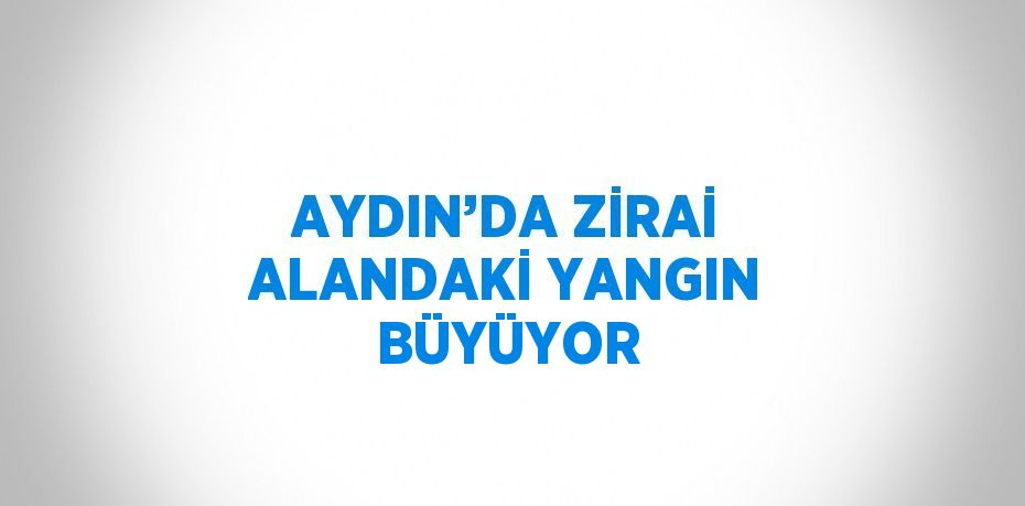 AYDIN’DA ZİRAİ ALANDAKİ YANGIN BÜYÜYOR