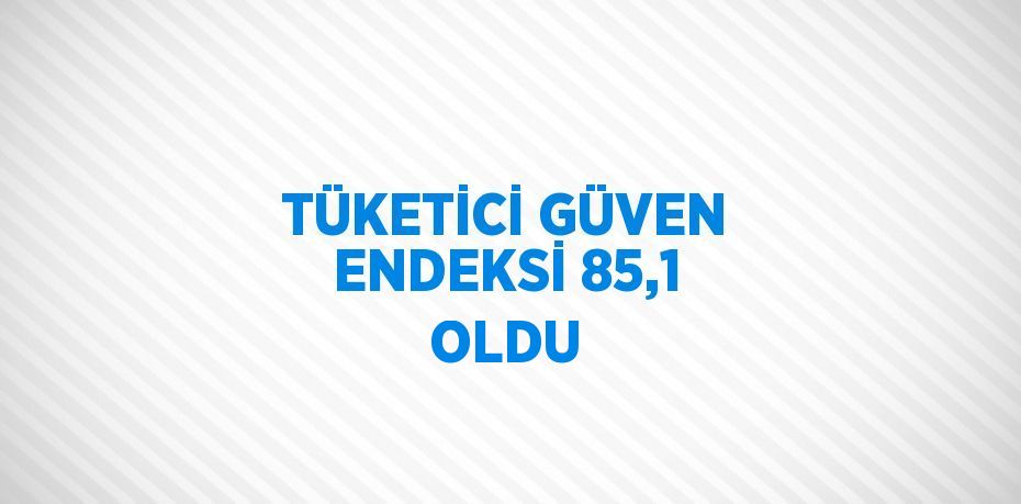 TÜKETİCİ GÜVEN ENDEKSİ 85,1 OLDU