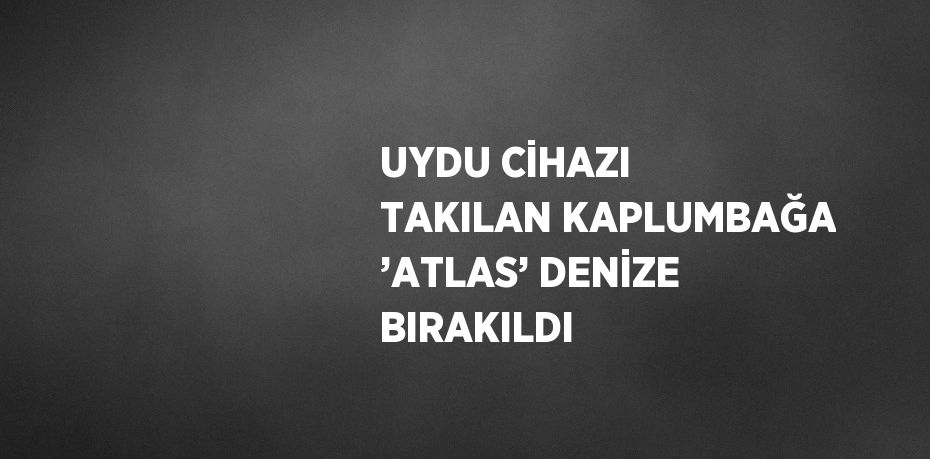 UYDU CİHAZI TAKILAN KAPLUMBAĞA ’ATLAS’ DENİZE BIRAKILDI
