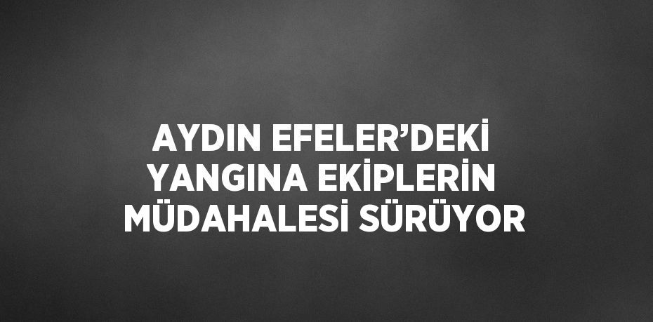 AYDIN EFELER’DEKİ YANGINA EKİPLERİN MÜDAHALESİ SÜRÜYOR