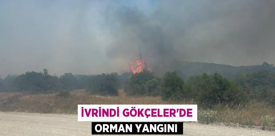 İvrindi Gökçeler’de Orman Yangını