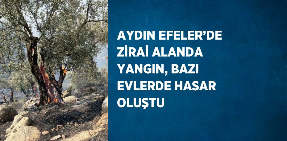 AYDIN EFELER’DE ZİRAİ ALANDA YANGIN, BAZI EVLERDE HASAR OLUŞTU