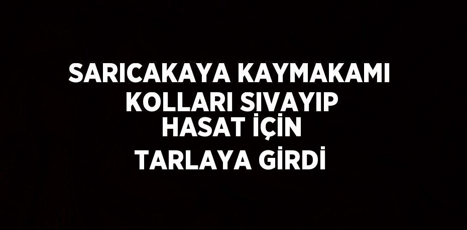 SARICAKAYA KAYMAKAMI KOLLARI SIVAYIP HASAT İÇİN TARLAYA GİRDİ