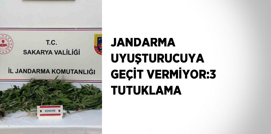 JANDARMA UYUŞTURUCUYA GEÇİT VERMİYOR:3 TUTUKLAMA