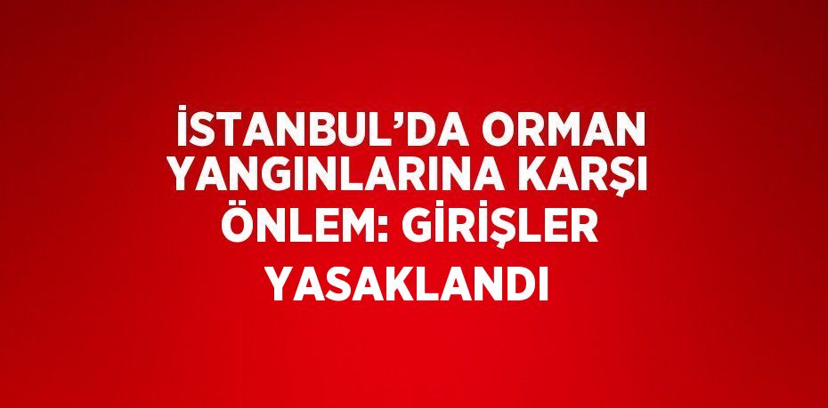 İSTANBUL’DA ORMAN YANGINLARINA KARŞI ÖNLEM: GİRİŞLER YASAKLANDI