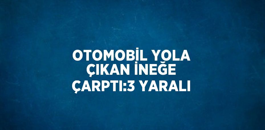 OTOMOBİL YOLA ÇIKAN İNEĞE ÇARPTI:3 YARALI