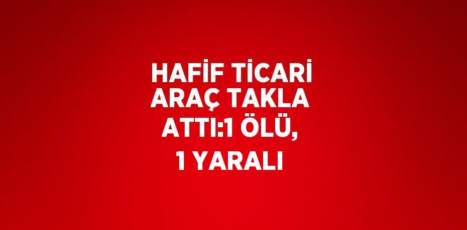 HAFİF TİCARİ ARAÇ TAKLA ATTI:1 ÖLÜ, 1 YARALI