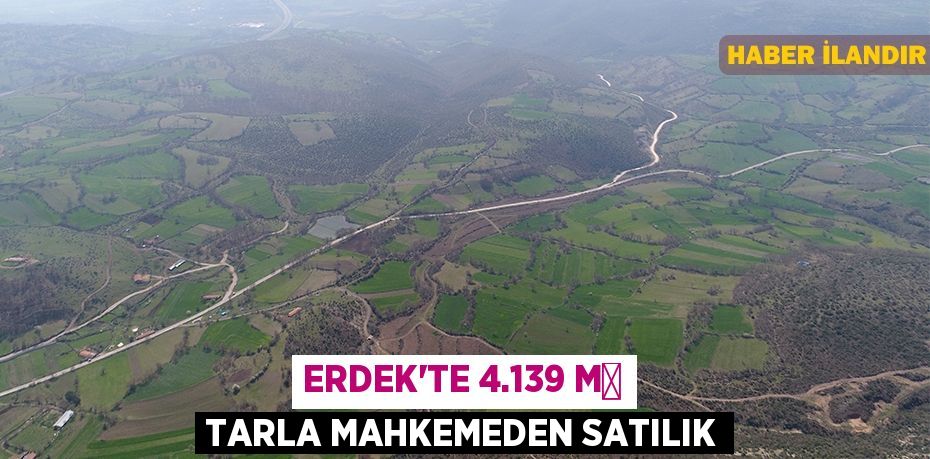 Erdek'te 4.139 m² tarla mahkemeden satılık