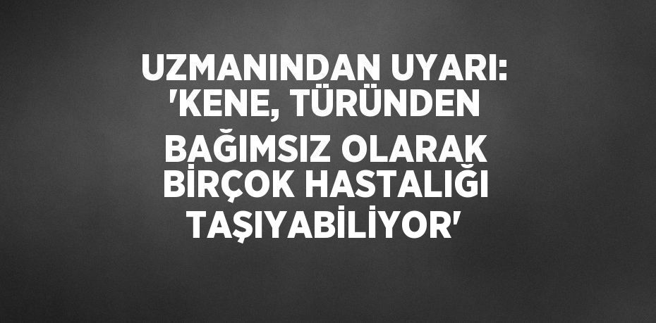 UZMANINDAN UYARI: 'KENE, TÜRÜNDEN BAĞIMSIZ OLARAK BİRÇOK HASTALIĞI TAŞIYABİLİYOR'