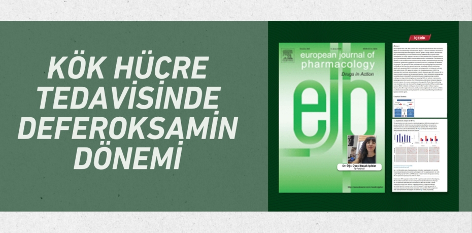 KÖK HÜCRE TEDAVİSİNDE DEFEROKSAMİN DÖNEMİ