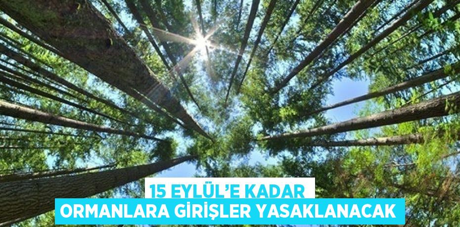 15 EYLÜL’E KADAR ORMANLARA GİRİŞLER YASAKLANACAK