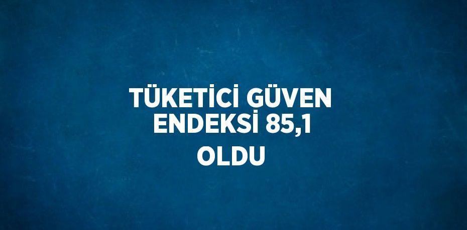 TÜKETİCİ GÜVEN ENDEKSİ 85,1 OLDU
