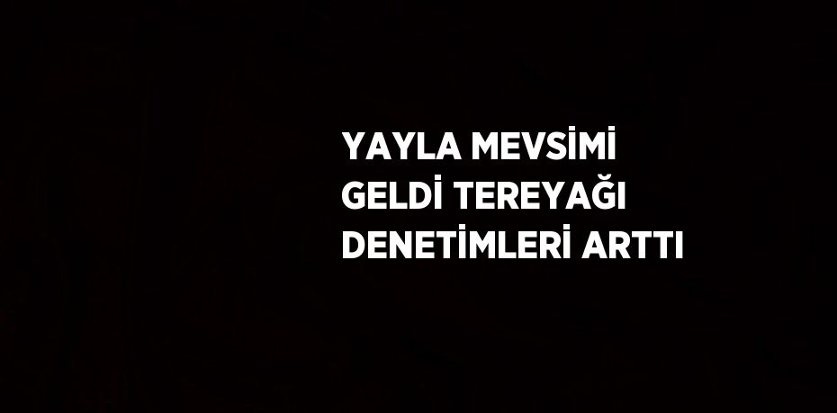 YAYLA MEVSİMİ GELDİ TEREYAĞI DENETİMLERİ ARTTI