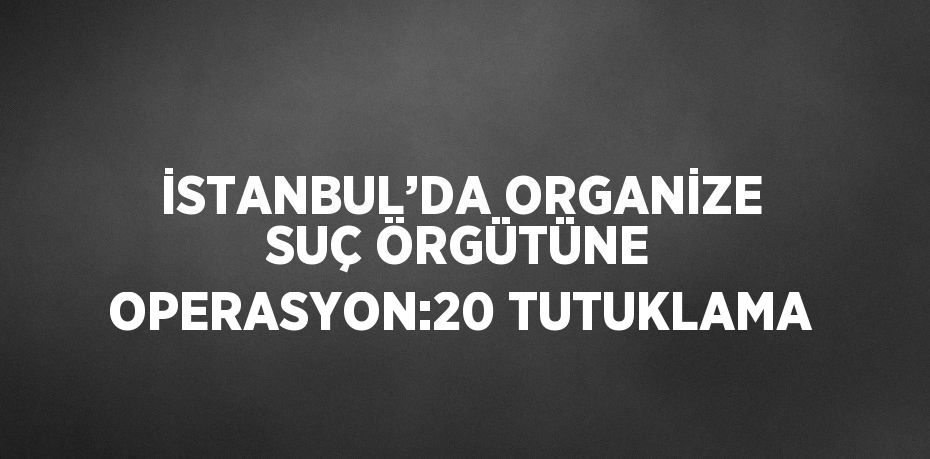 İSTANBUL’DA ORGANİZE SUÇ ÖRGÜTÜNE OPERASYON:20 TUTUKLAMA