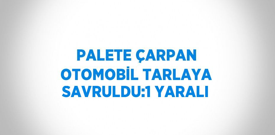 PALETE ÇARPAN OTOMOBİL TARLAYA SAVRULDU:1 YARALI
