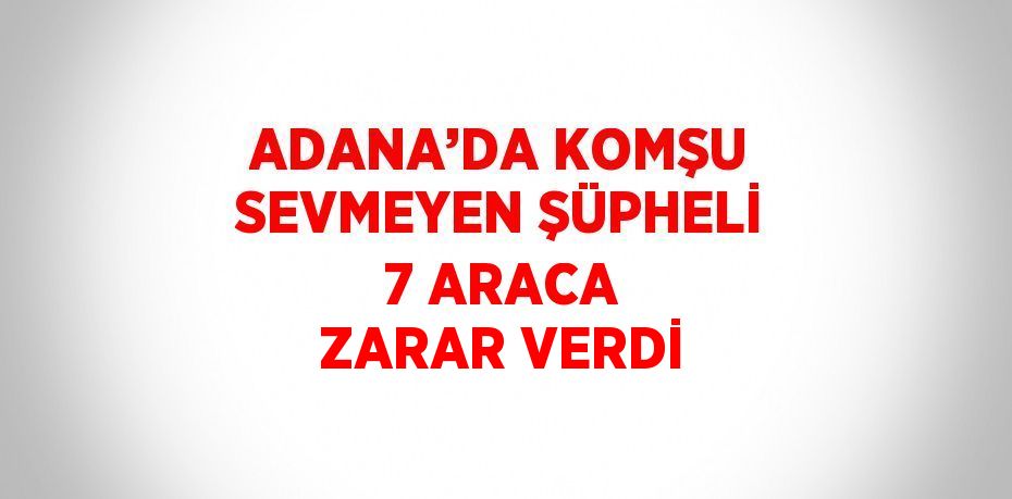 ADANA’DA KOMŞU SEVMEYEN ŞÜPHELİ 7 ARACA ZARAR VERDİ