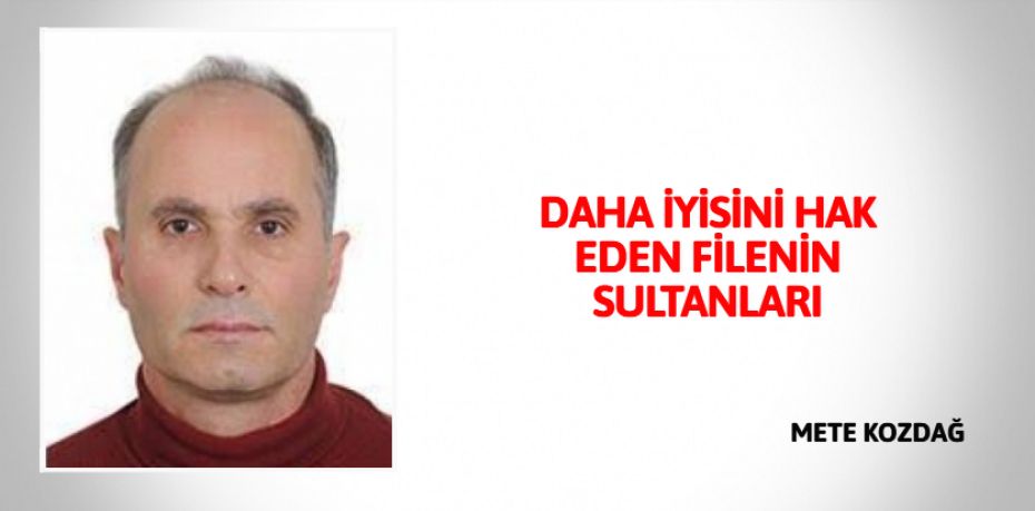 DAHA İYİSİNİ HAK EDEN FİLENİN SULTANLARI