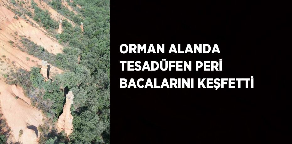 ORMAN ALANDA TESADÜFEN PERİ BACALARINI KEŞFETTİ