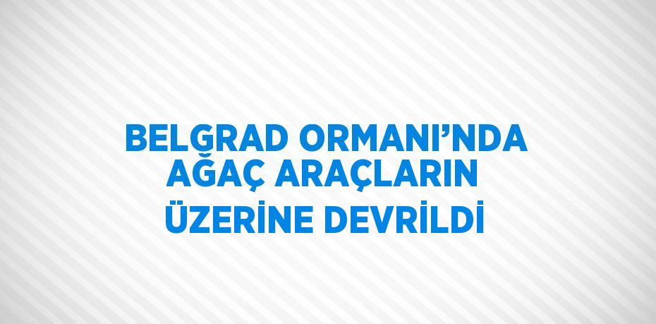 BELGRAD ORMANI’NDA AĞAÇ ARAÇLARIN ÜZERİNE DEVRİLDİ