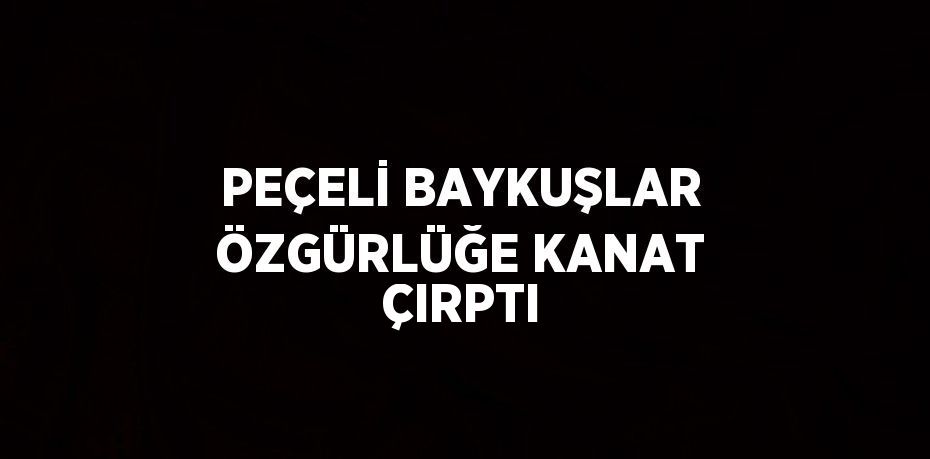 PEÇELİ BAYKUŞLAR ÖZGÜRLÜĞE KANAT ÇIRPTI