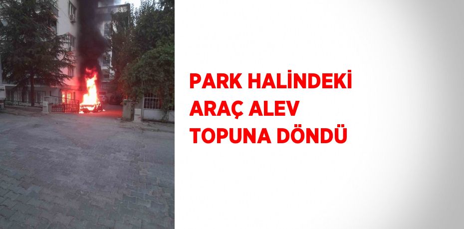 PARK HALİNDEKİ ARAÇ ALEV TOPUNA DÖNDÜ