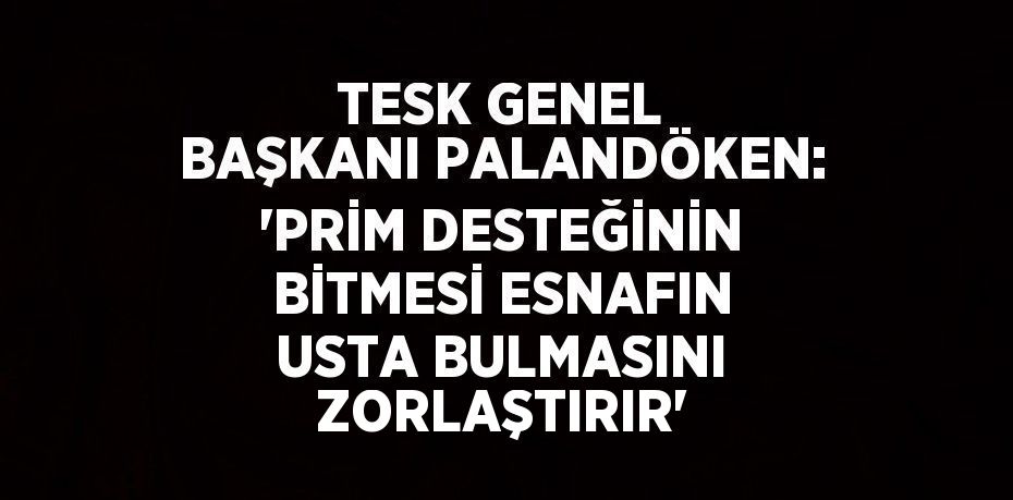 TESK GENEL BAŞKANI PALANDÖKEN: 'PRİM DESTEĞİNİN BİTMESİ ESNAFIN USTA BULMASINI ZORLAŞTIRIR'