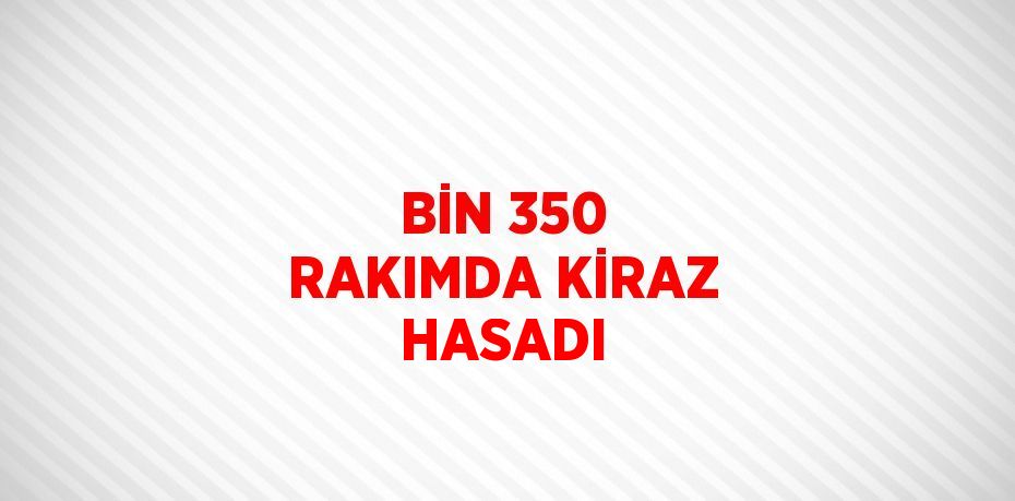 BİN 350 RAKIMDA KİRAZ HASADI