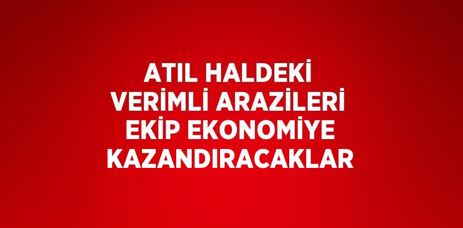 ATIL HALDEKİ VERİMLİ ARAZİLERİ EKİP EKONOMİYE KAZANDIRACAKLAR