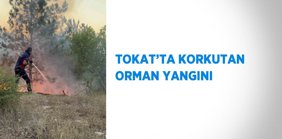 TOKAT’TA KORKUTAN ORMAN YANGINI