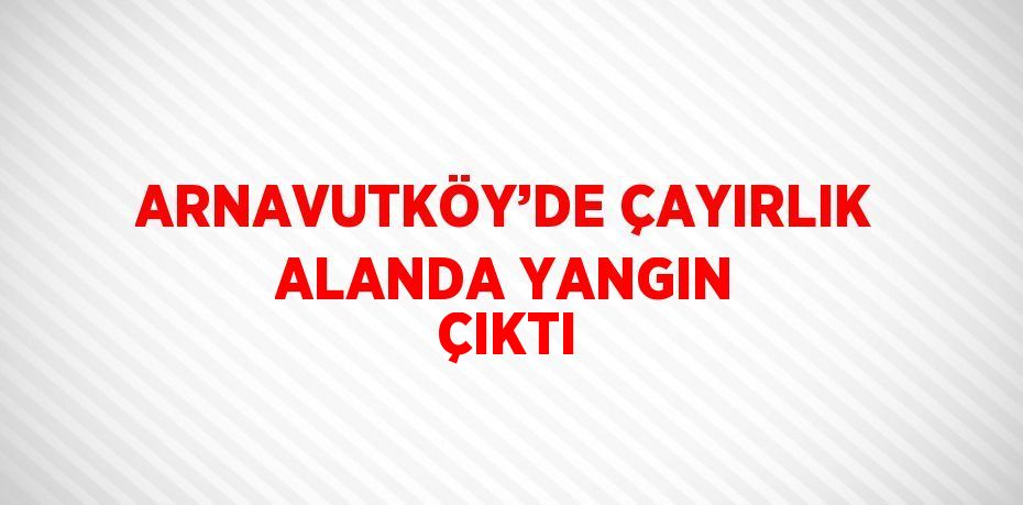 ARNAVUTKÖY’DE ÇAYIRLIK ALANDA YANGIN ÇIKTI