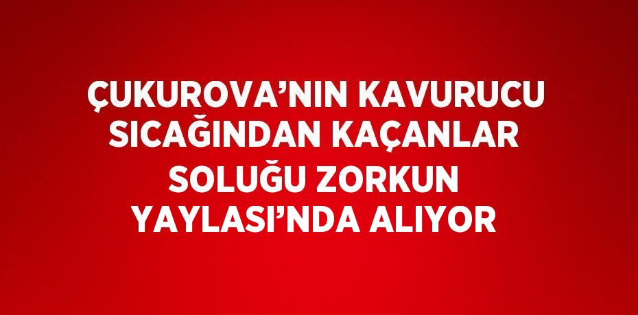 ÇUKUROVA’NIN KAVURUCU SICAĞINDAN KAÇANLAR SOLUĞU ZORKUN YAYLASI’NDA ALIYOR