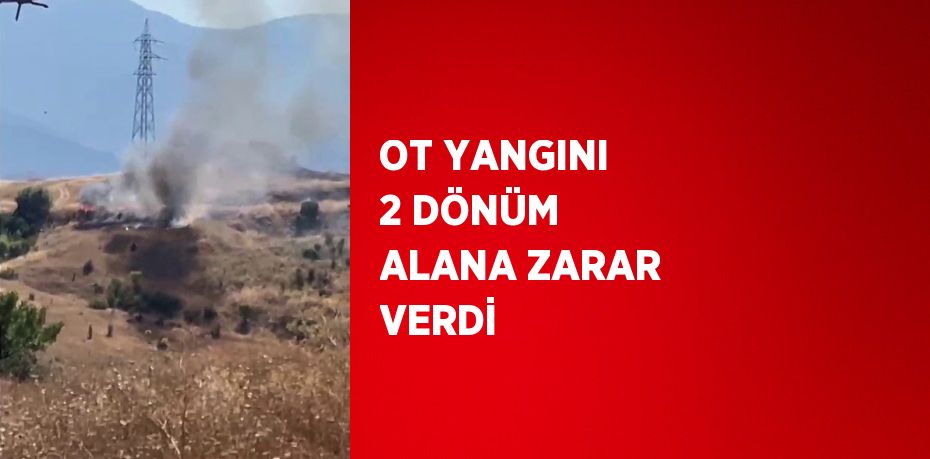 OT YANGINI 2 DÖNÜM ALANA ZARAR VERDİ