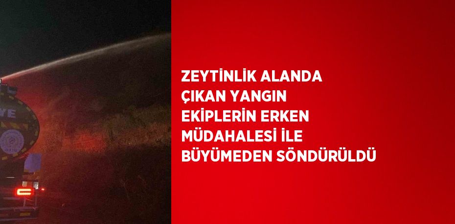 ZEYTİNLİK ALANDA ÇIKAN YANGIN EKİPLERİN ERKEN MÜDAHALESİ İLE BÜYÜMEDEN SÖNDÜRÜLDÜ