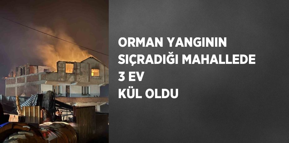 ORMAN YANGININ SIÇRADIĞI MAHALLEDE 3 EV KÜL OLDU