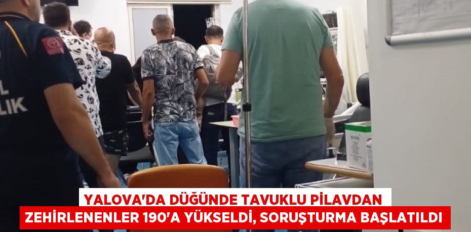 Yalova’da düğünde tavuklu pilavdan zehirlenenler 190’a yükseldi, soruşturma başlatıldı