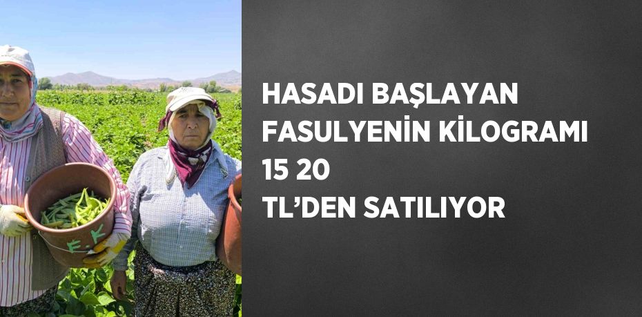 HASADI BAŞLAYAN FASULYENİN KİLOGRAMI 15 20 TL’DEN SATILIYOR
