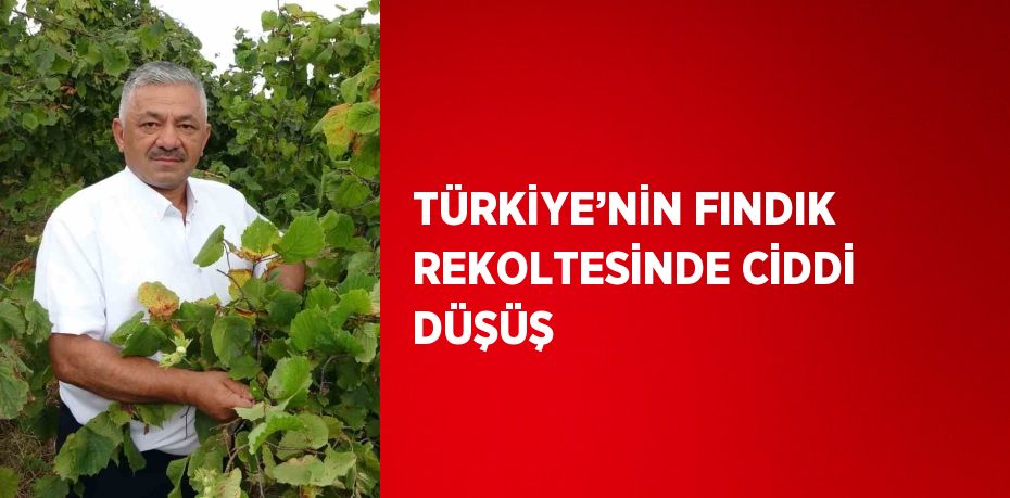 TÜRKİYE’NİN FINDIK REKOLTESİNDE CİDDİ DÜŞÜŞ