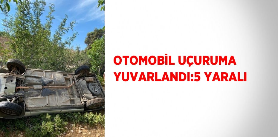 OTOMOBİL UÇURUMA YUVARLANDI:5 YARALI