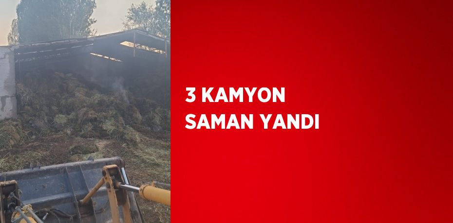 3 KAMYON SAMAN YANDI