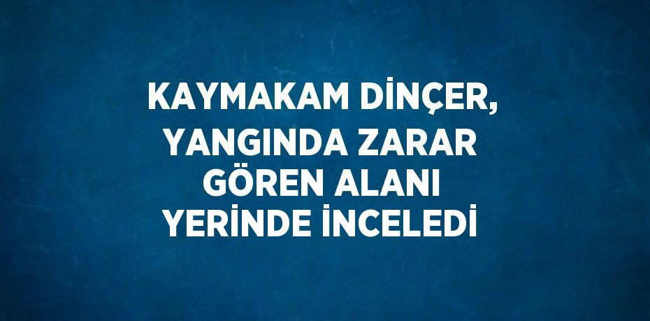 KAYMAKAM DİNÇER, YANGINDA ZARAR GÖREN ALANI YERİNDE İNCELEDİ