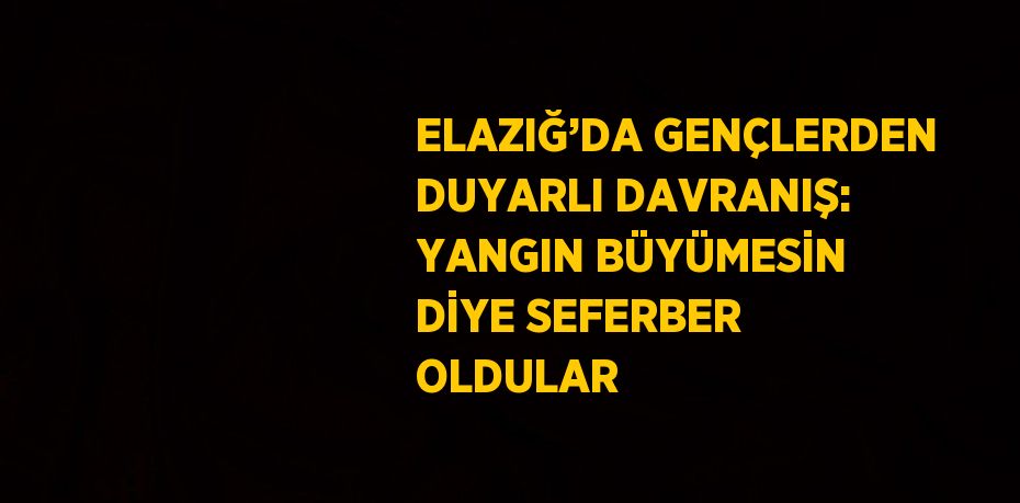 ELAZIĞ’DA GENÇLERDEN DUYARLI DAVRANIŞ: YANGIN BÜYÜMESİN DİYE SEFERBER OLDULAR