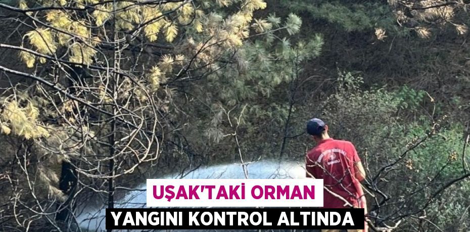 Uşak’taki orman yangını kontrol altında