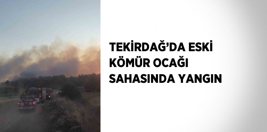 TEKİRDAĞ’DA ESKİ KÖMÜR OCAĞI SAHASINDA YANGIN