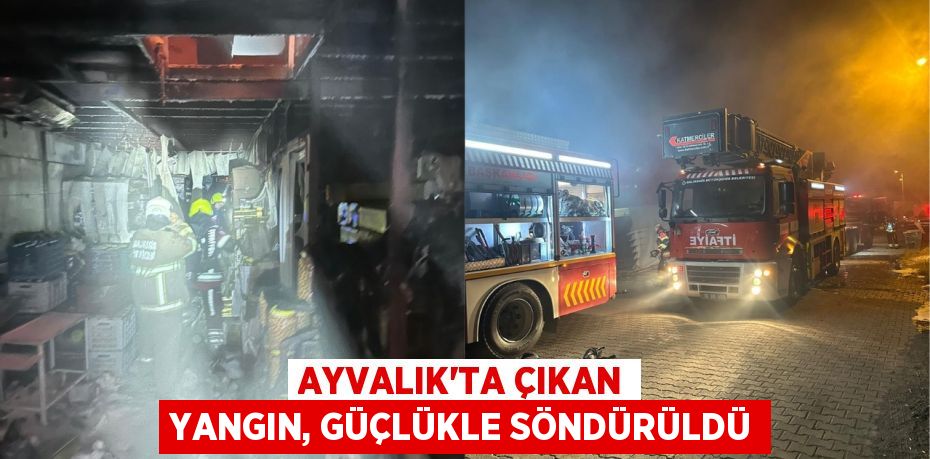 Ayvalık’ta çıkan yangın, güçlükle söndürüldü